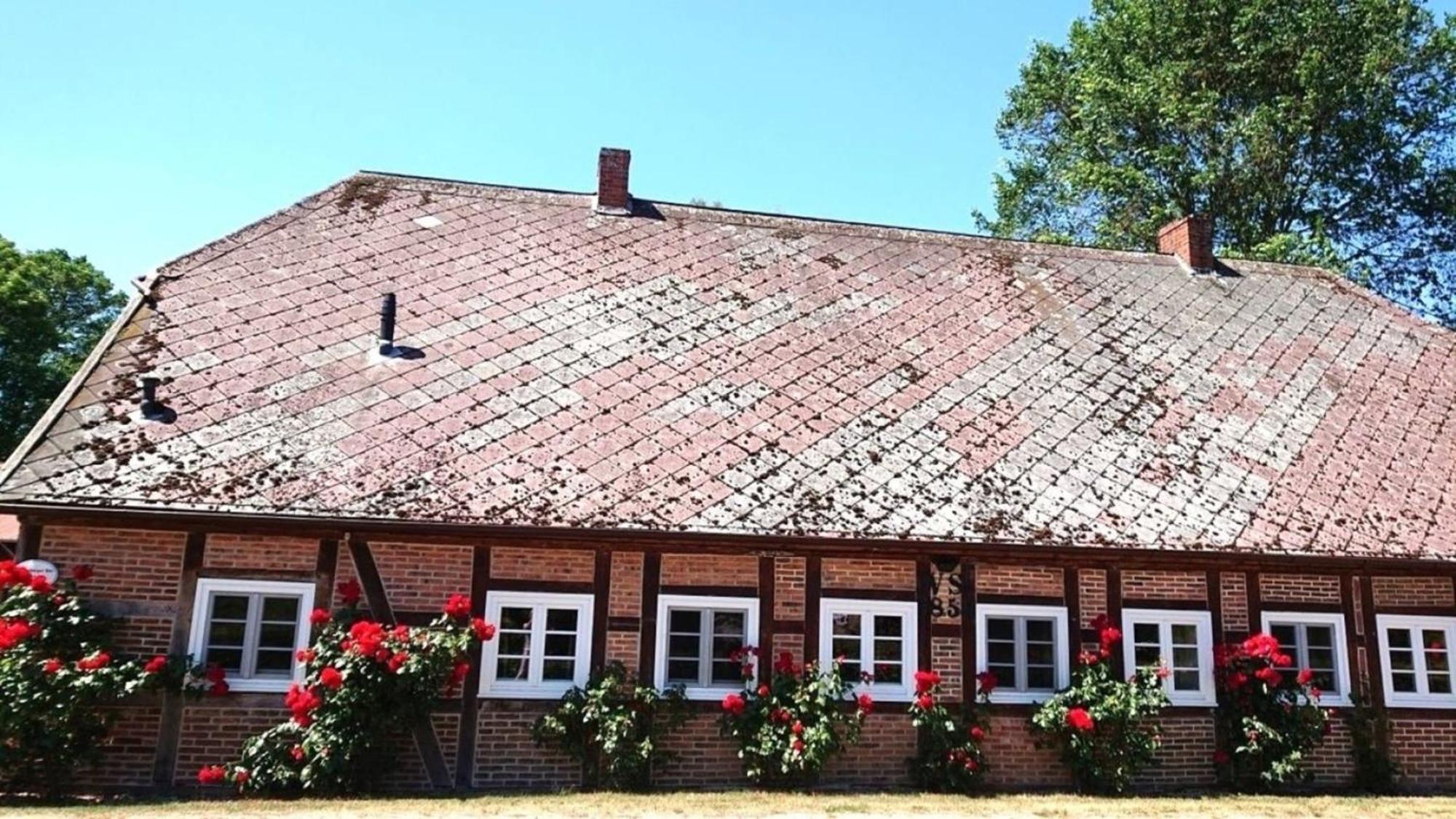Luedersburger Strasse 15A Apartman Kültér fotó